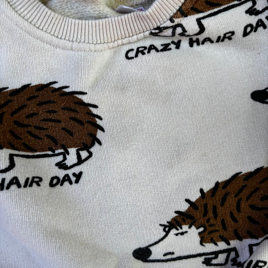 Hedgehog Sweatshirt (6-9M)