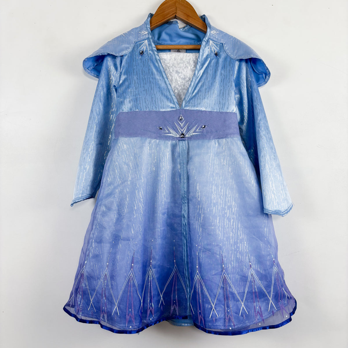 Frozen Princess Costume (4T)
