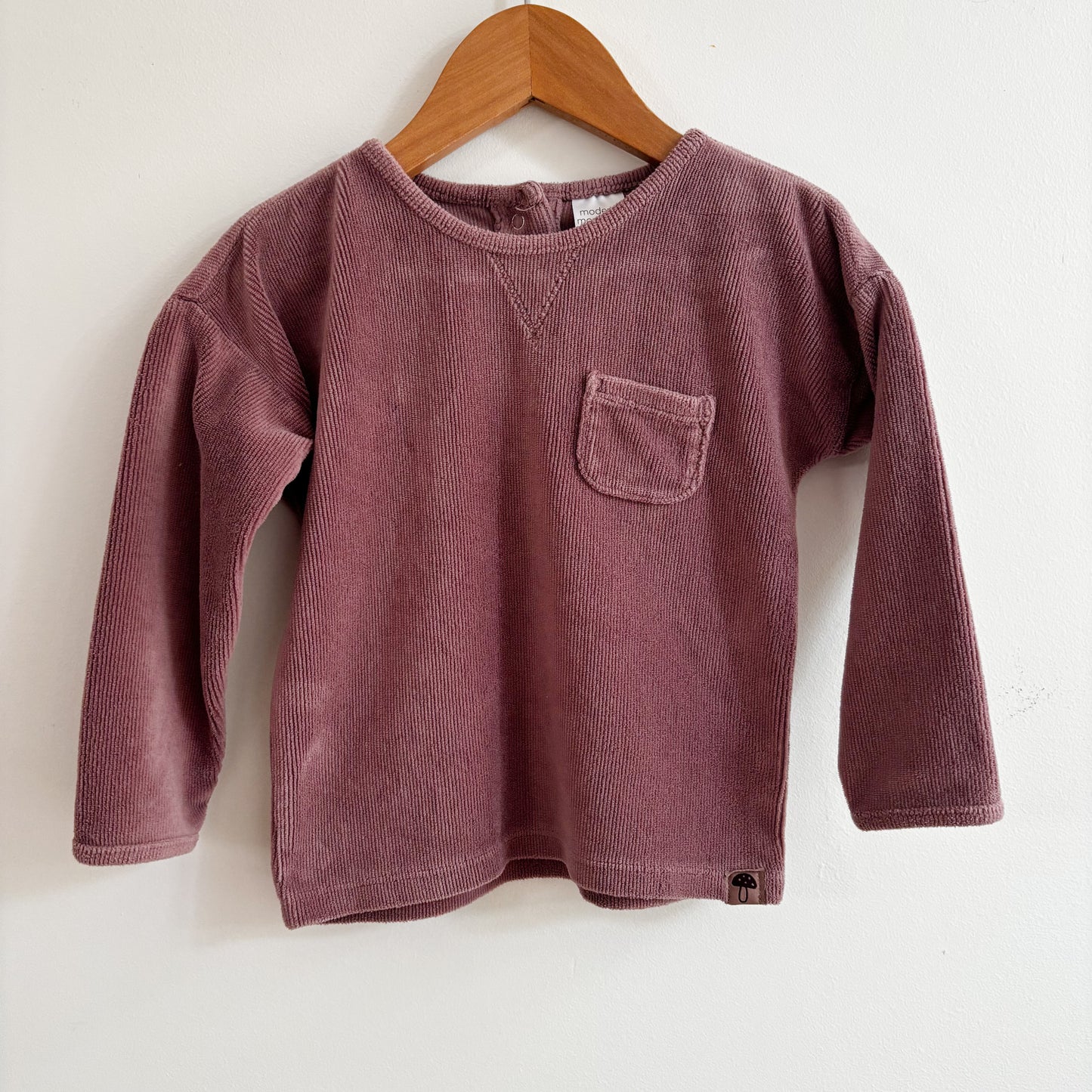 Purple Velour Top (24M)