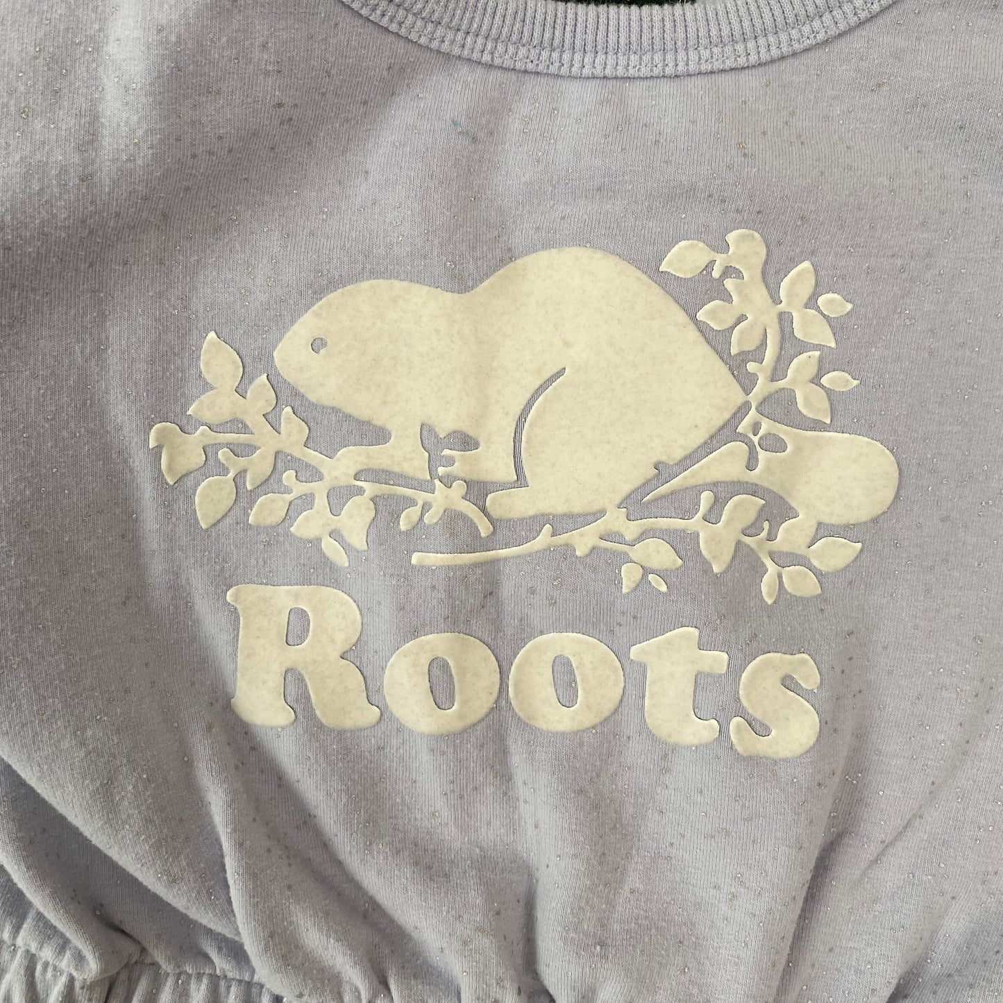 Purple Sparkly Dress