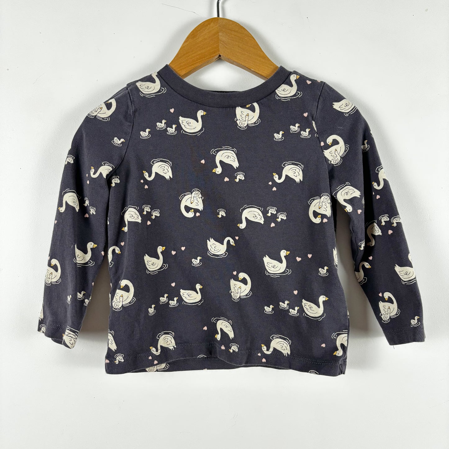 Grey Swan Long Sleeve (18-24M)