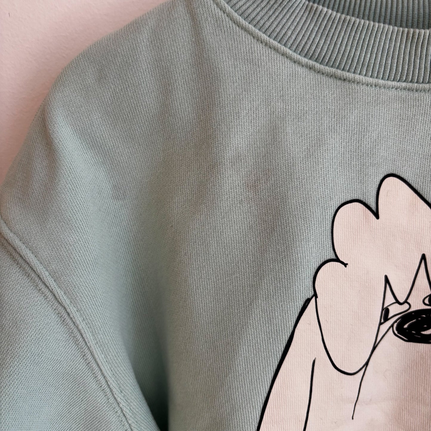 Dog Graphic Sweatshirt (2-4Y)