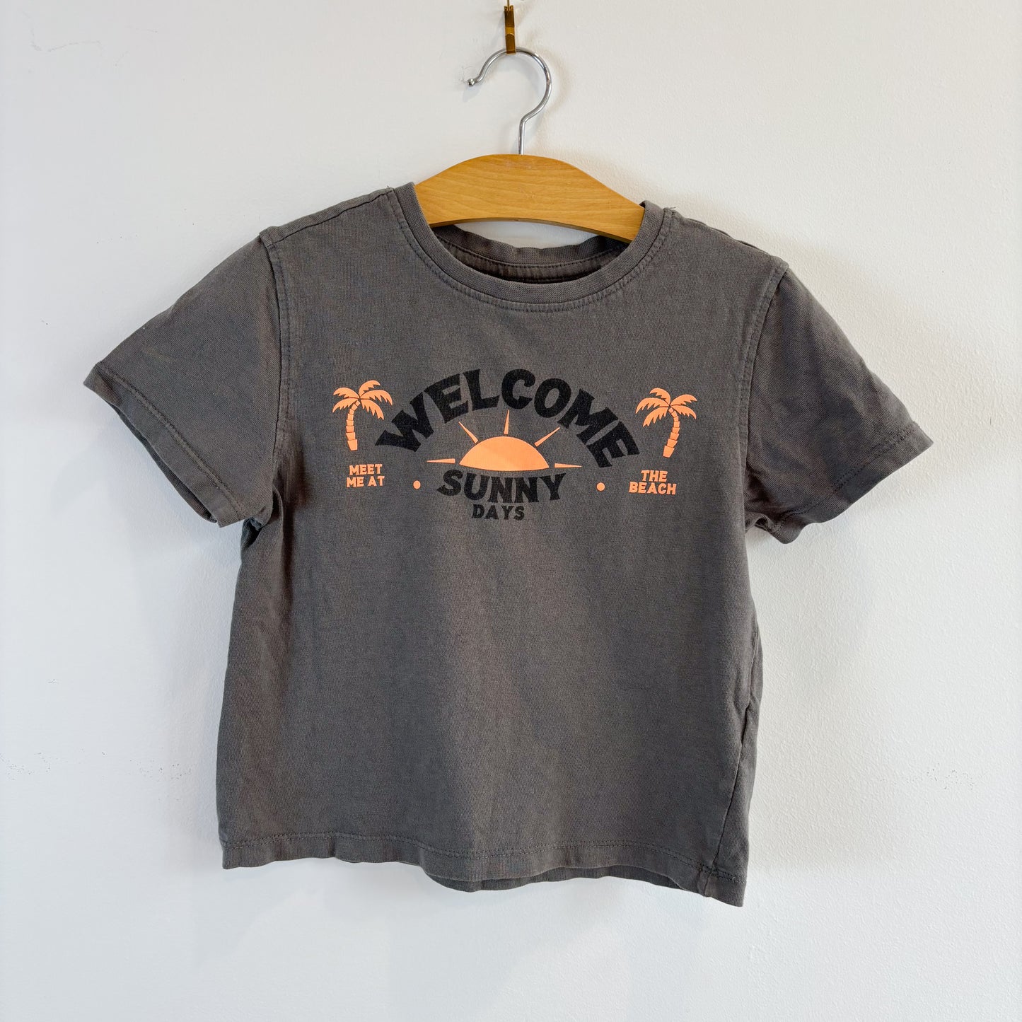 Grey Graphic Tee (2-3Y)