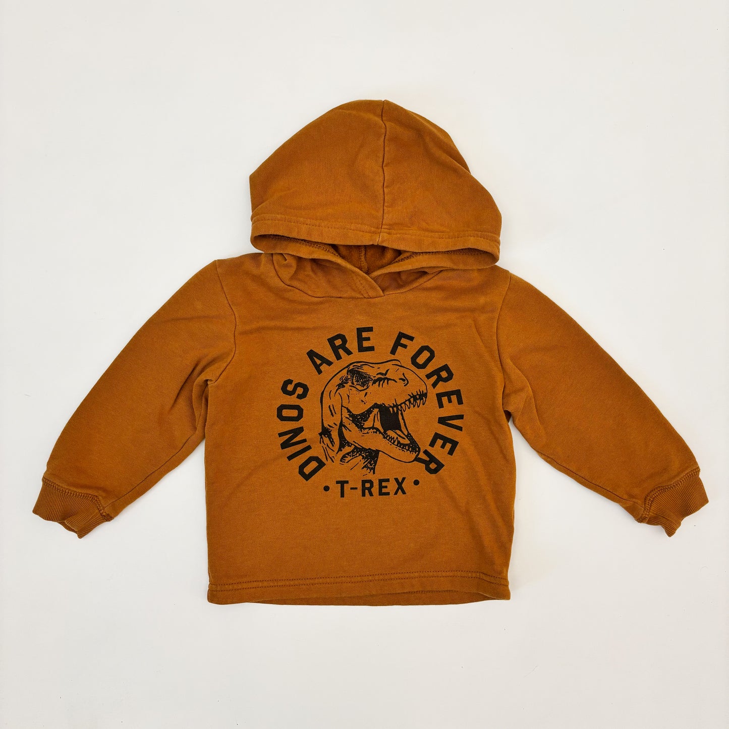 Dinosaur Hoodie (2T)