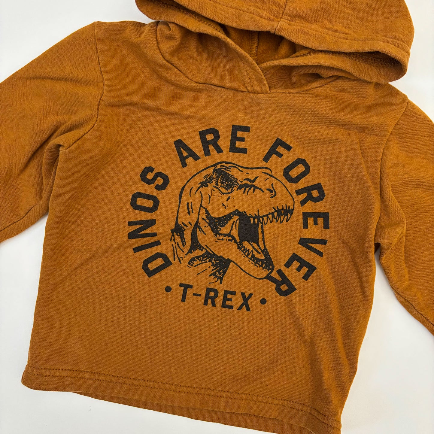 Dinosaur Hoodie (2T)