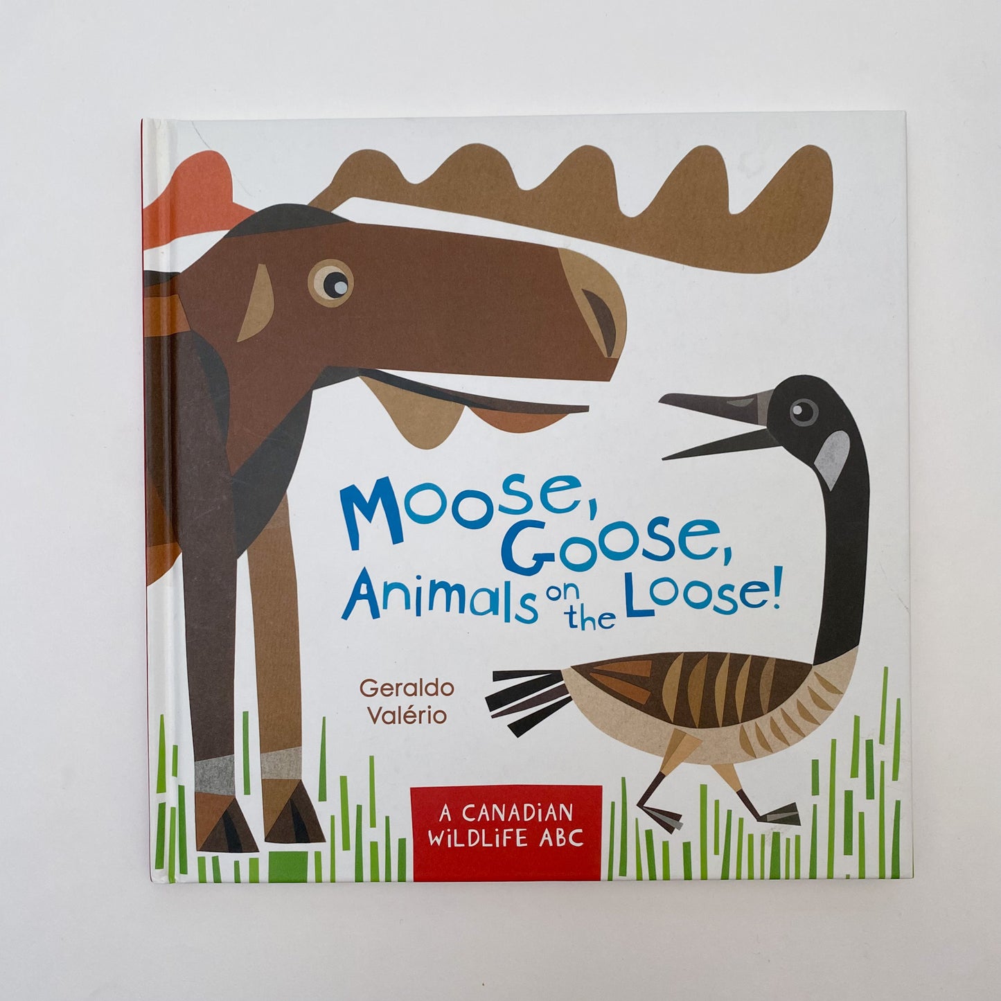 Moose, Goose, Animals On The Loose!