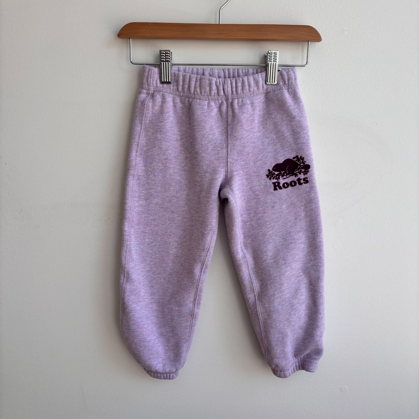 Purple Sweatsuit (3T)