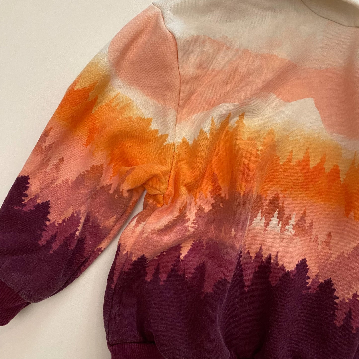 Mountain Hoodie (3T)
