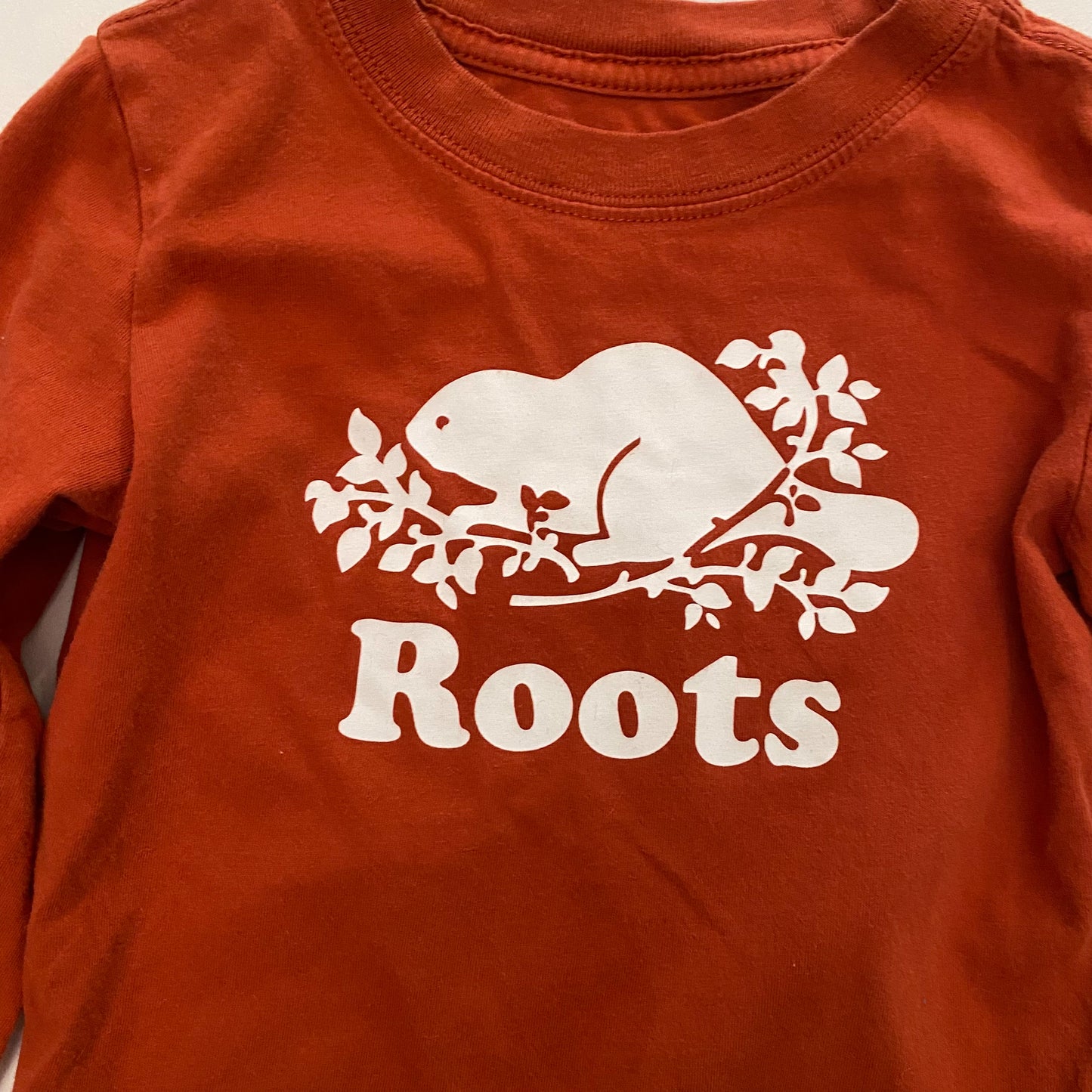 Burnt Orange Long Sleeve Shirt (2T)