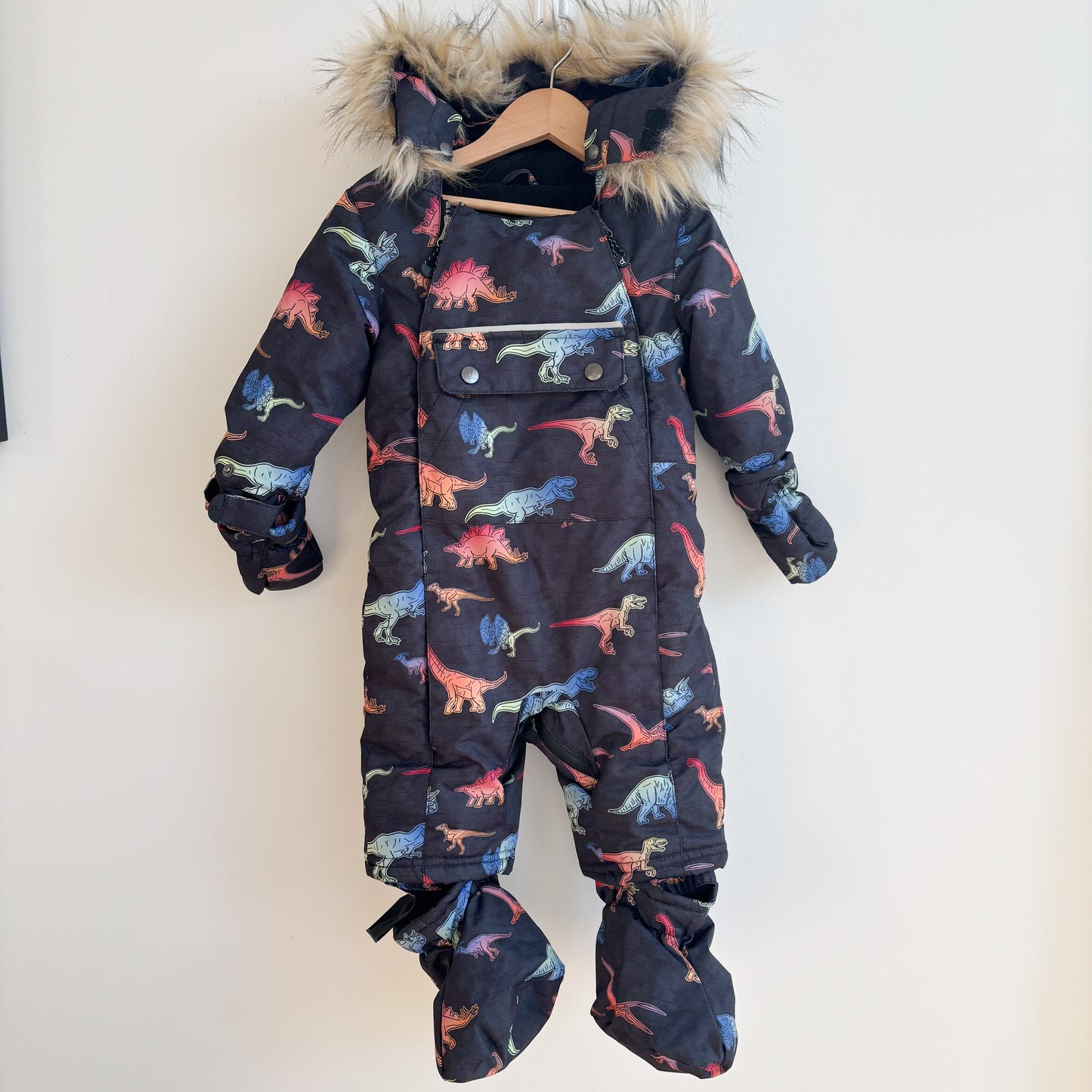 Dino Print Snowsuit (12M)