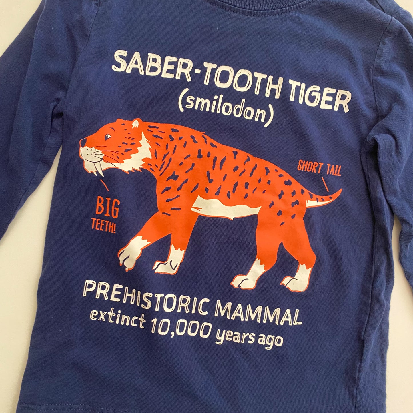 Blue Graphic Long Sleeve Shirt (2T)