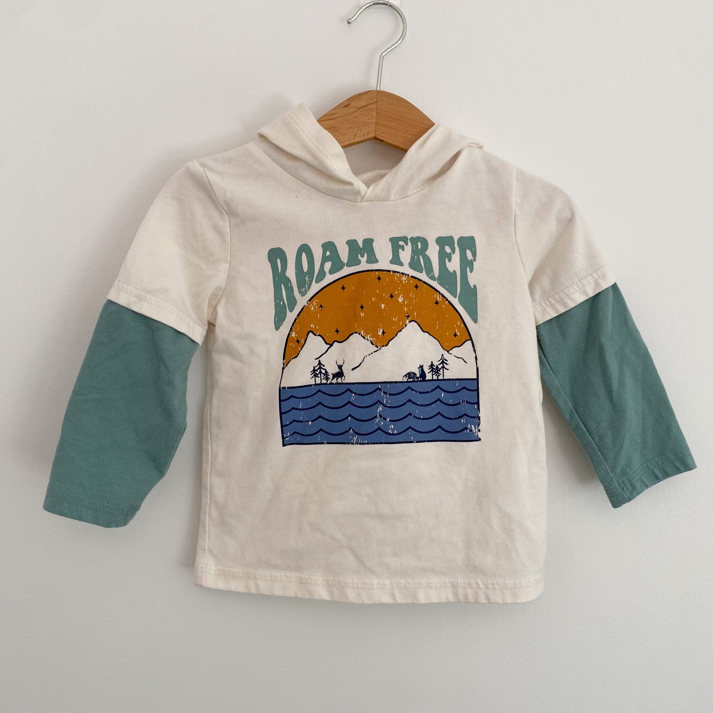 Long Sleeve Hooded Shirt (12-18M)