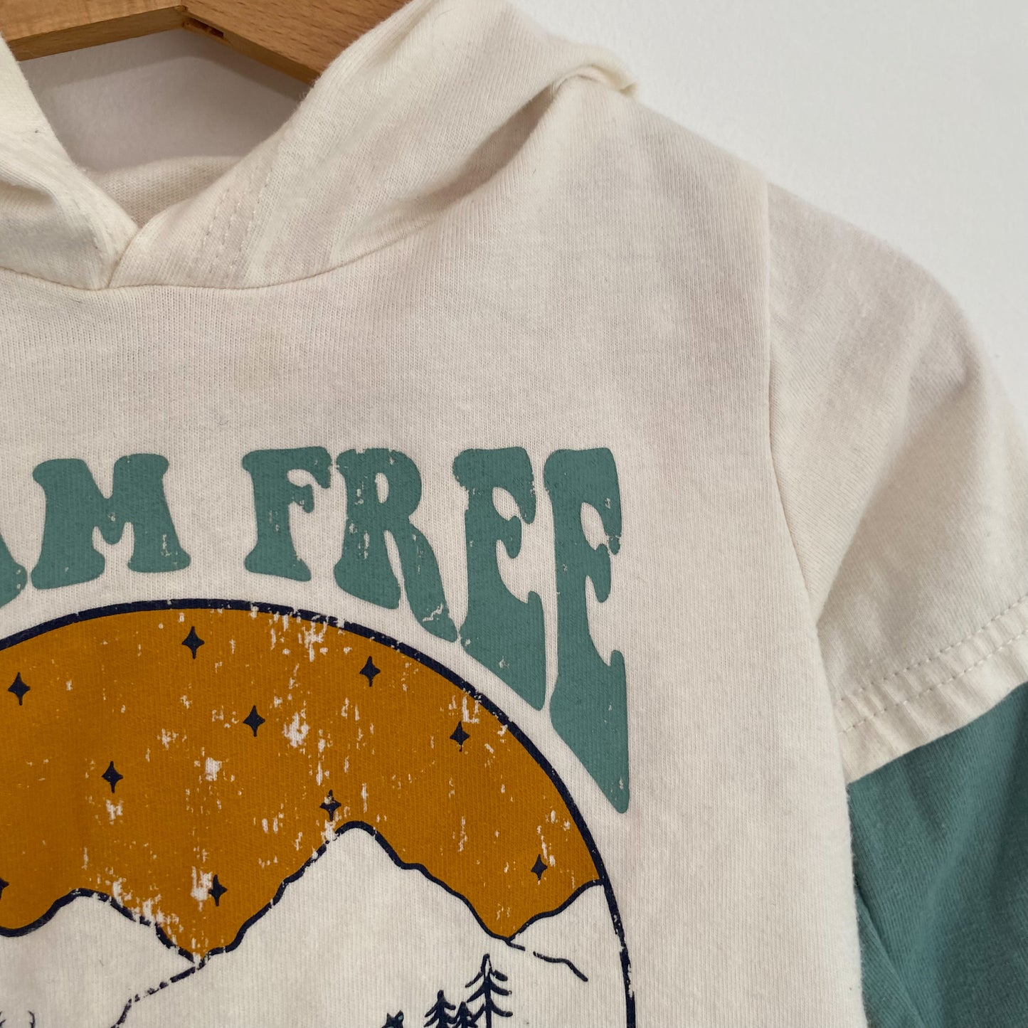 Long Sleeve Hooded Shirt (12-18M)