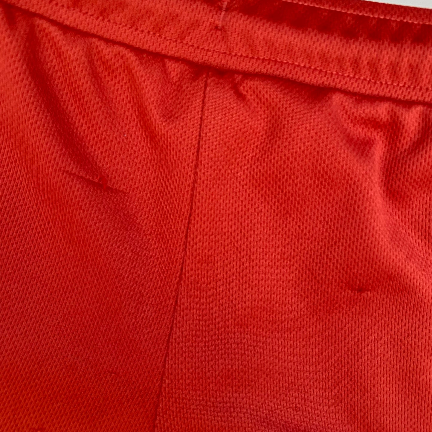 Rust Gym Shorts (3T)