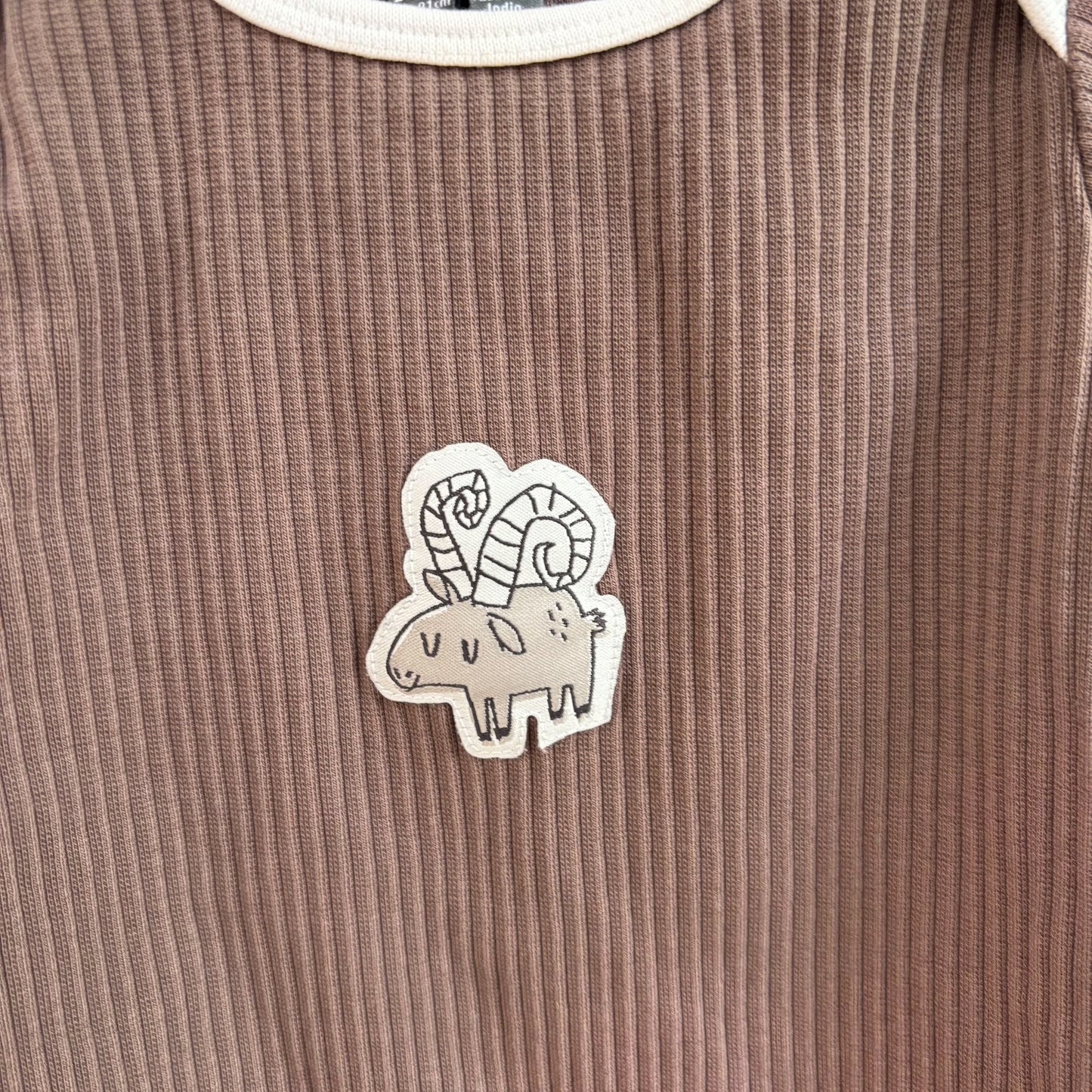 Brown Ribbed Bodysuit (18-24M)