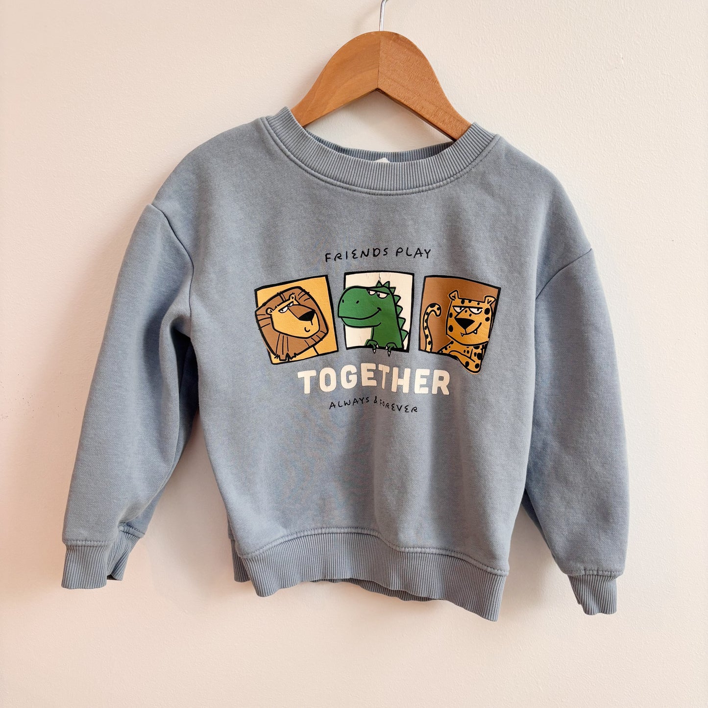 PLAY Animal Friends Sweatshirt (2-4Y)