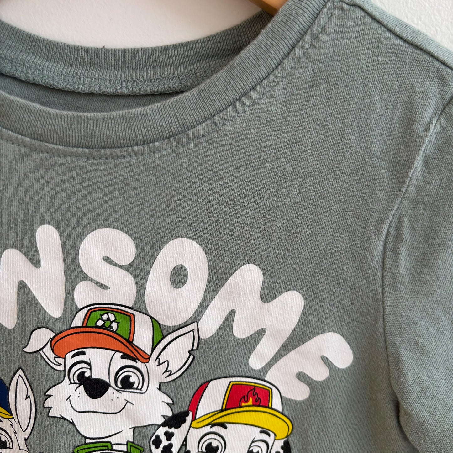 Dog Character Tee (5T)