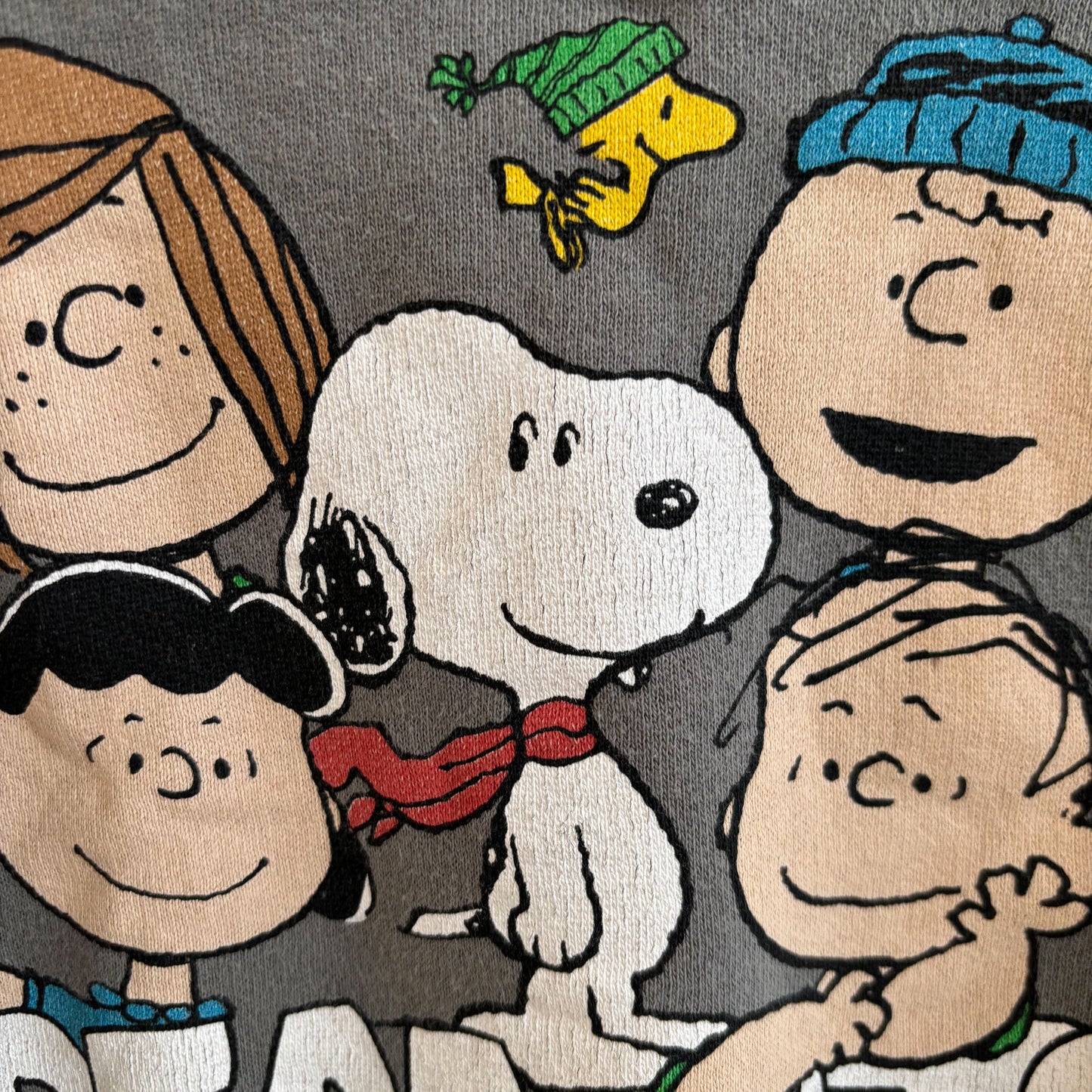 Character Sweatshirt (12-18M)