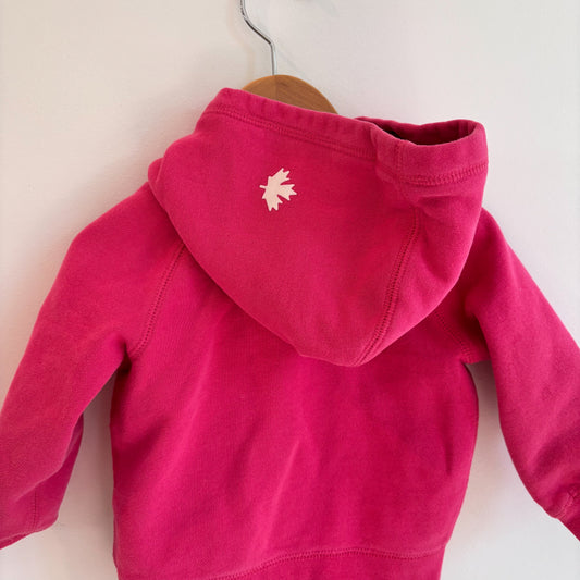 Pink Hoodie (18-24M)