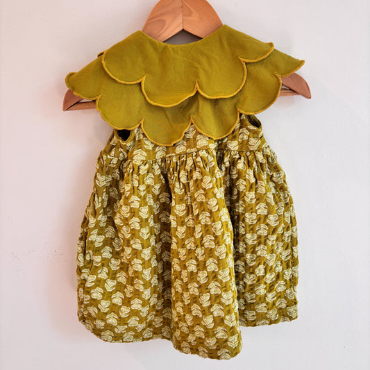 Green Petal Collar Dress (3-6M)