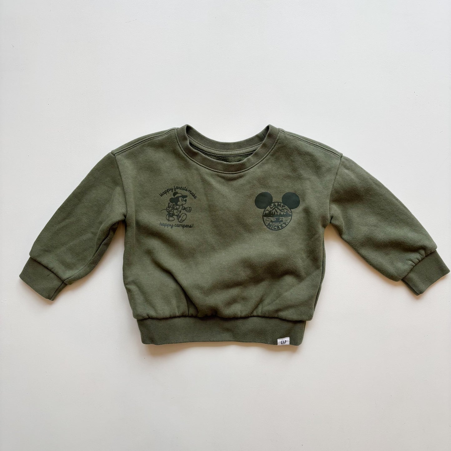 Camping Mouse Sweatshirt (18-24M)