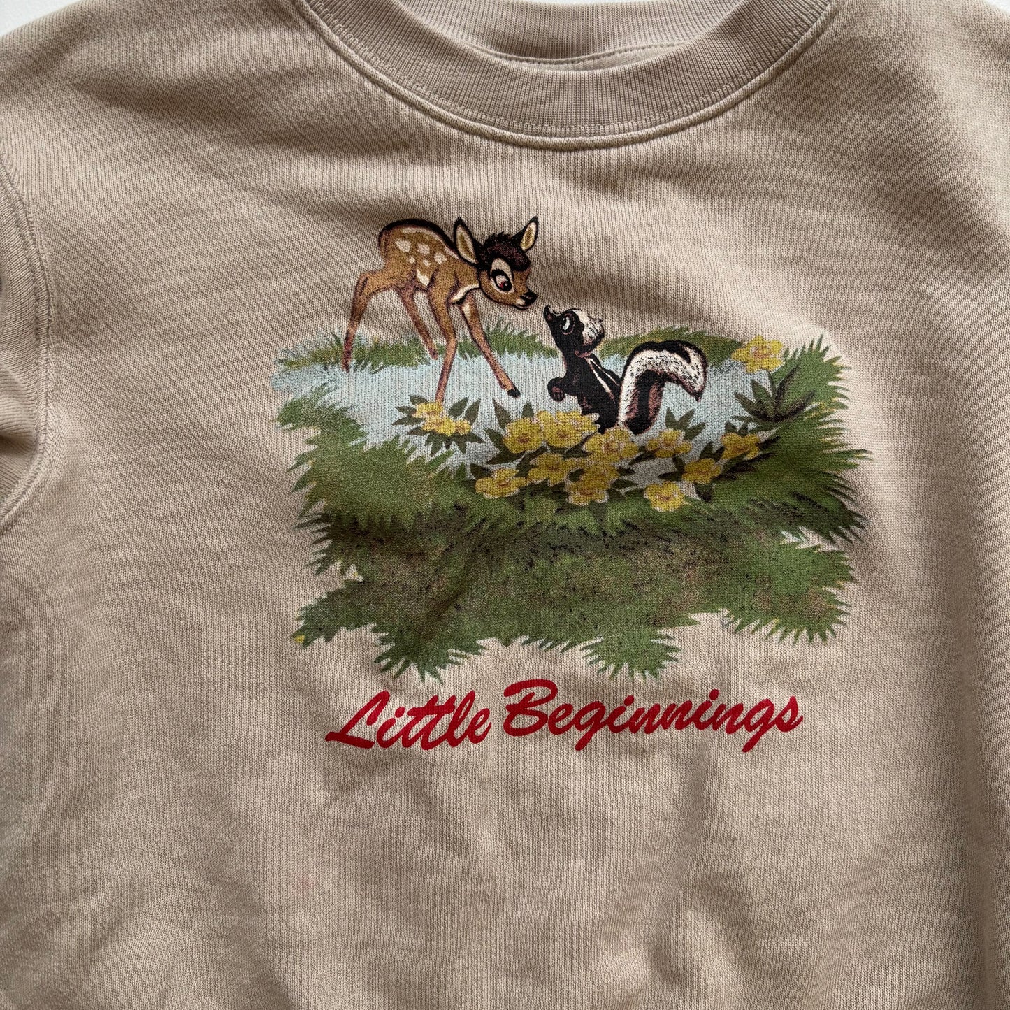 Deer & Skunk Character Sweatshirt (5-6Y)