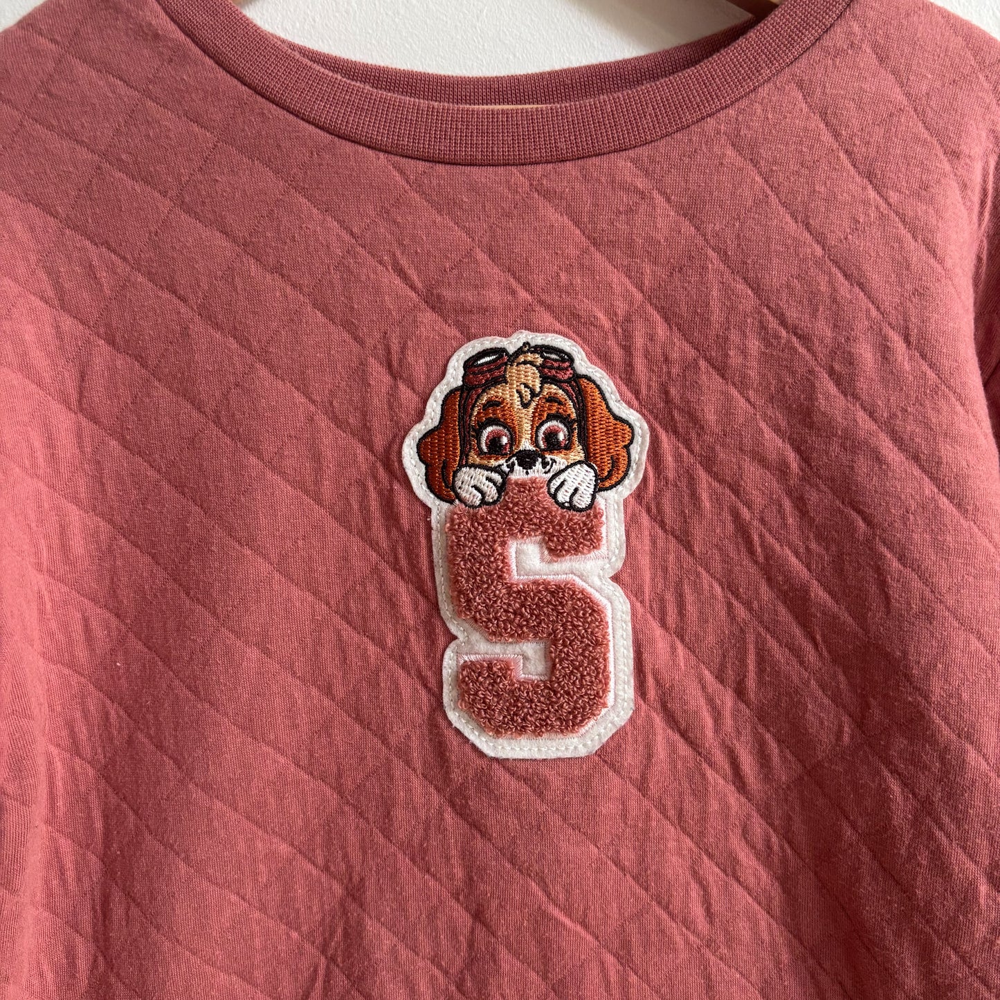 Pink Dog Character Dress (5T)