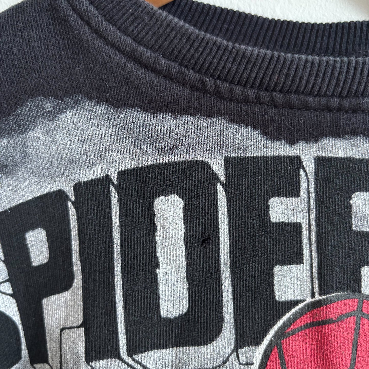 Spider Character Sweatshirt (4T)
