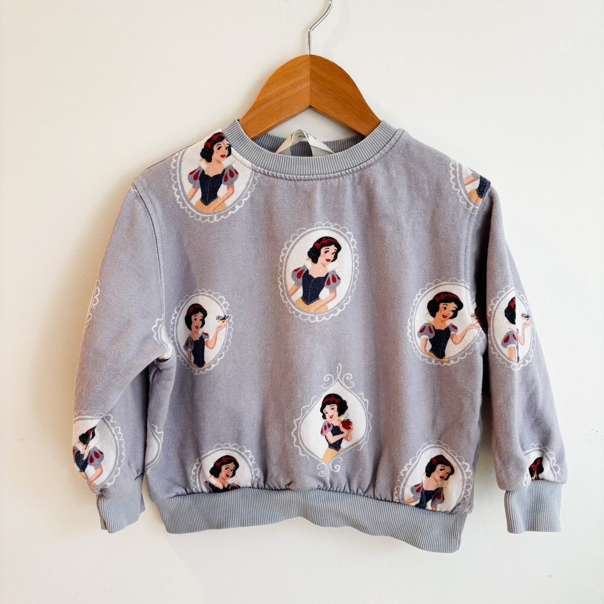 Princess Character Sweatshirt (2Y)