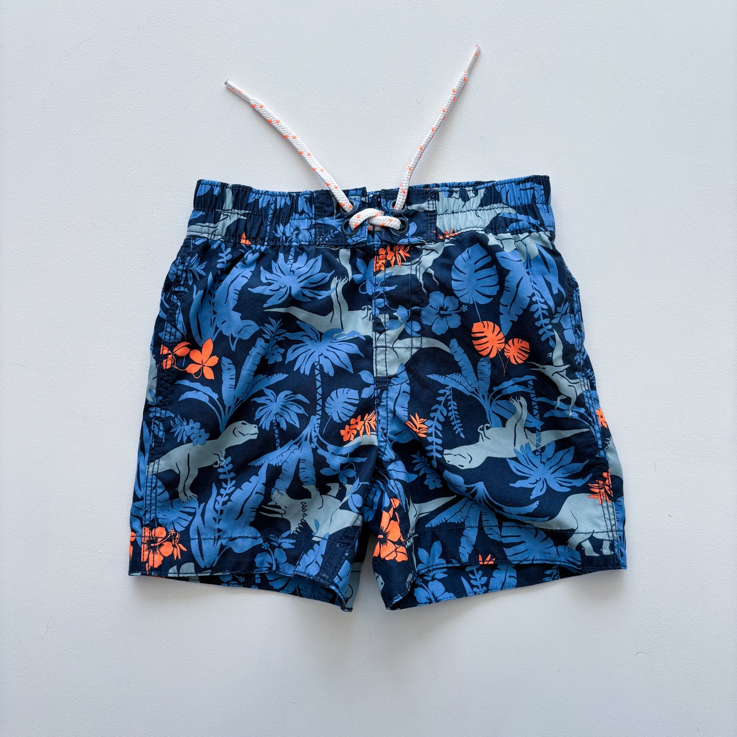Dino Swim Trunks (18-24M)