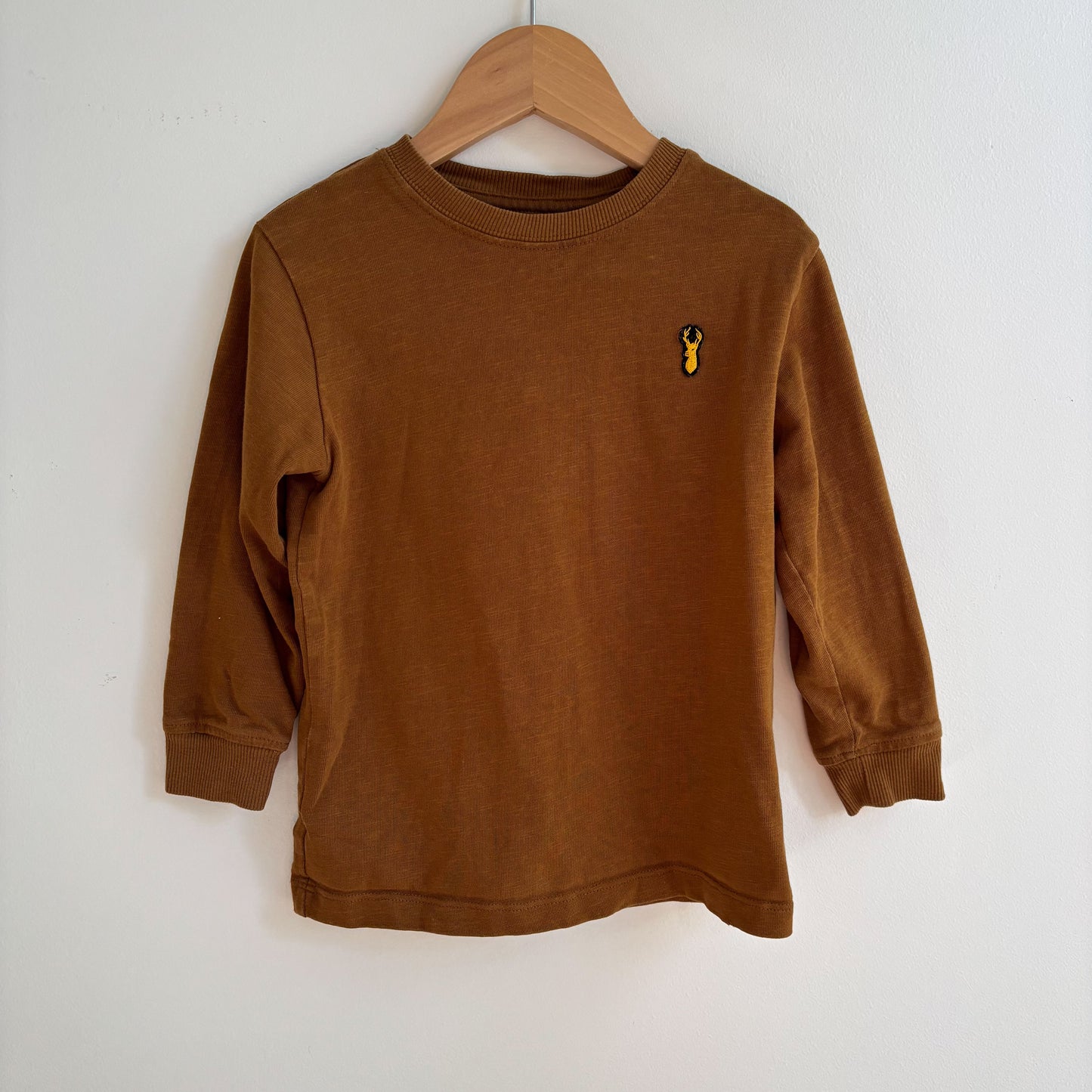Brown Long Sleeve Shirt (4T)