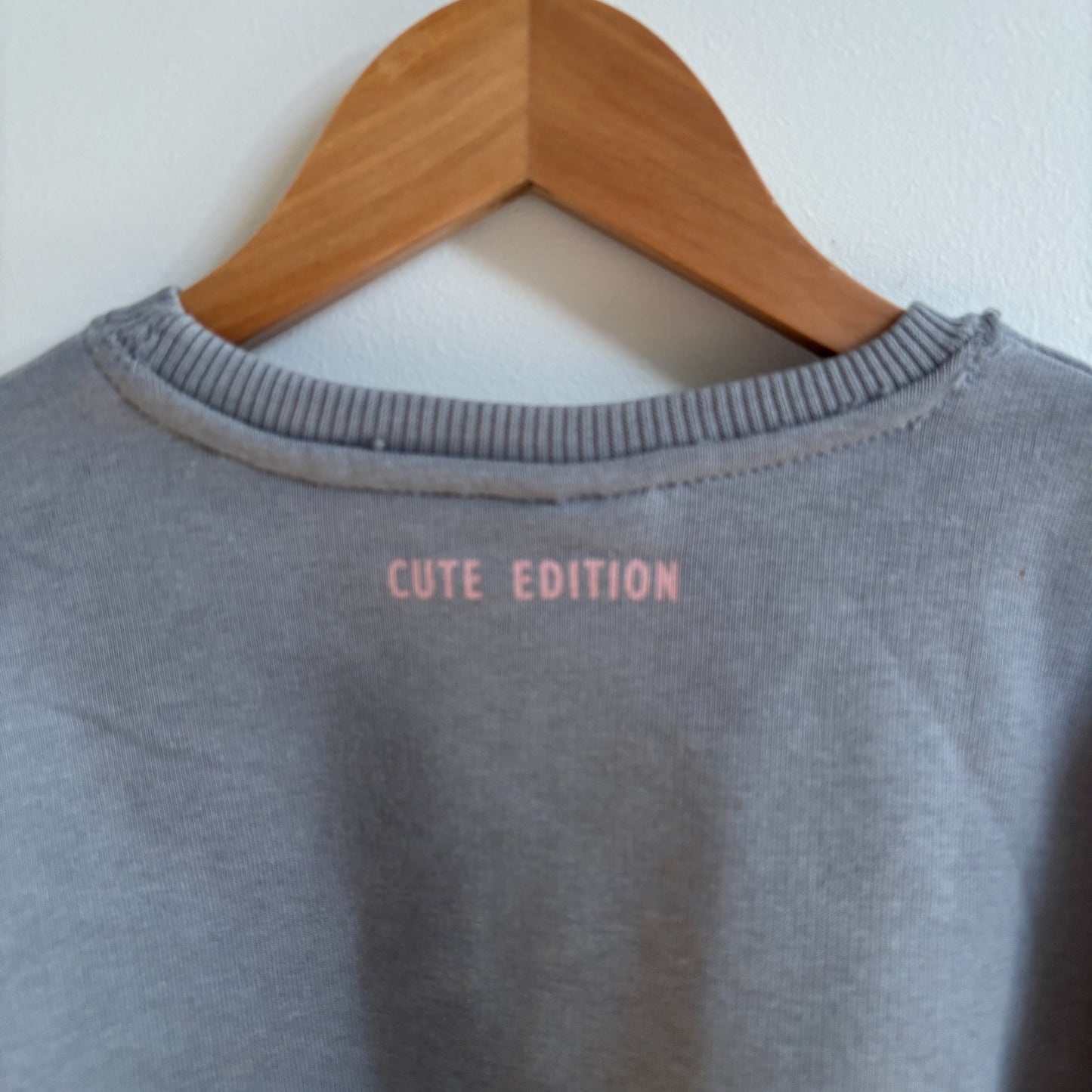 Grey Sweatshirt (4-5Y)