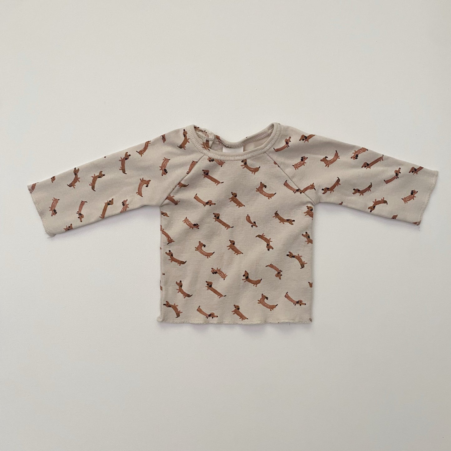 Dachshund Long Sleeve Shirt