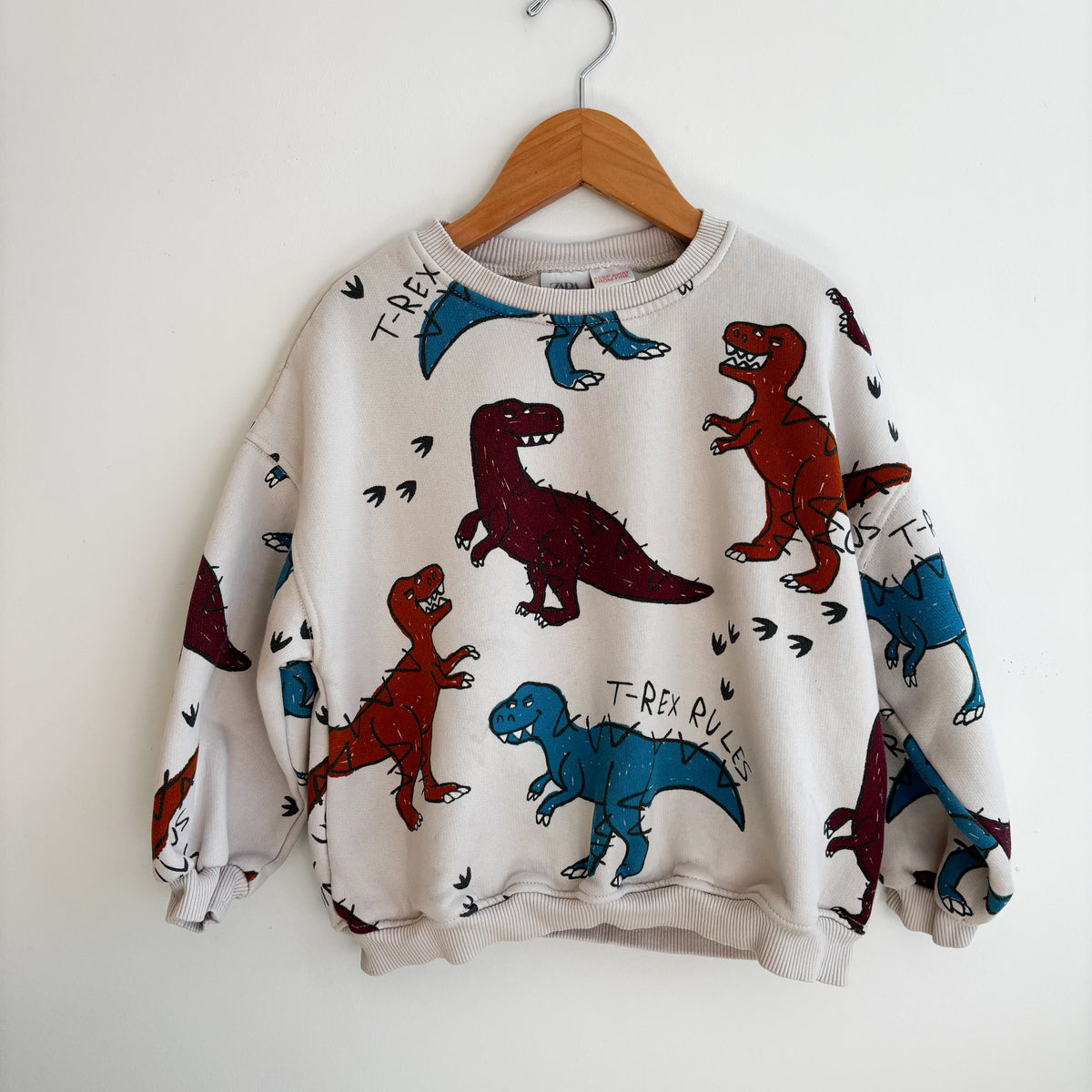 Dino Sweatshirt (4Y)