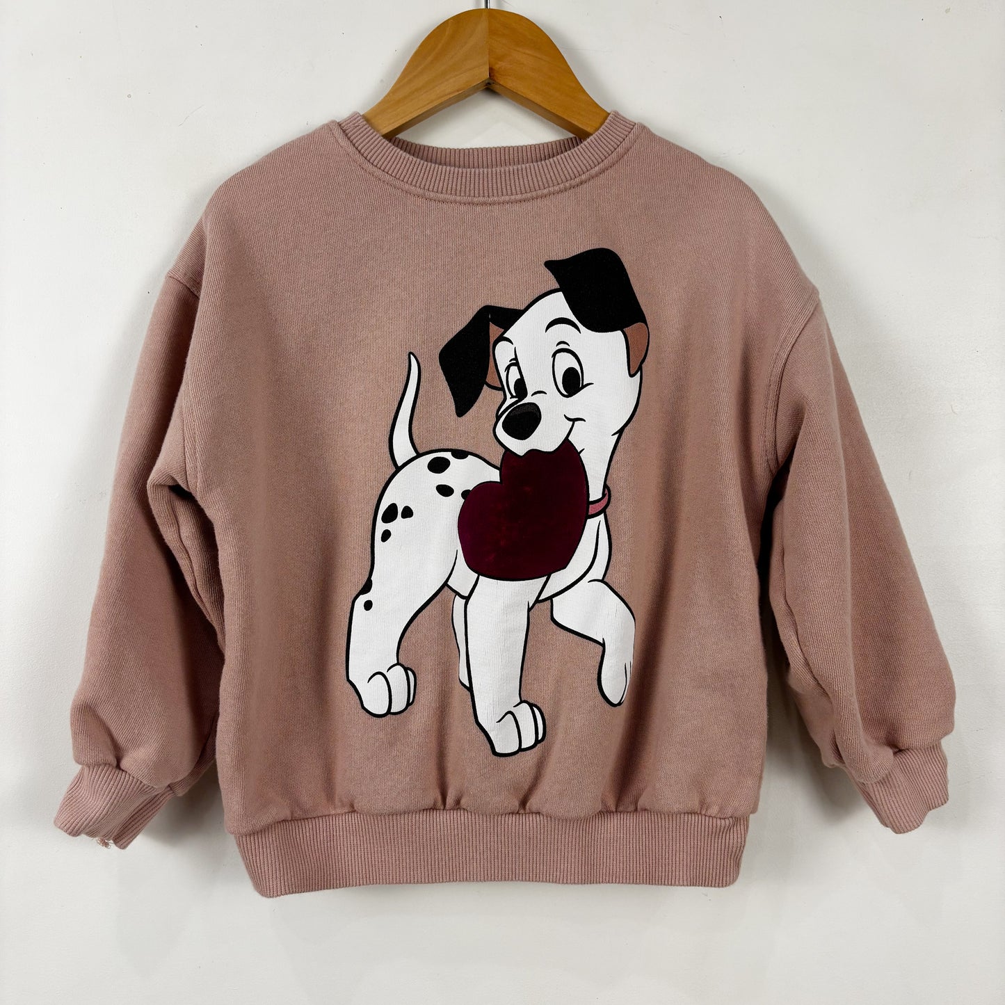 Puppy Character Sweatshirt (4Y)