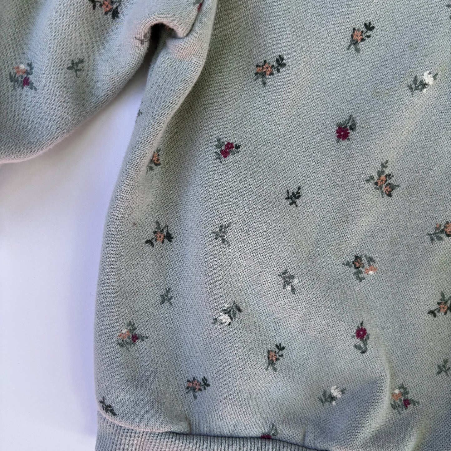 Pale Green Floral Sweatshirt (12-18M)