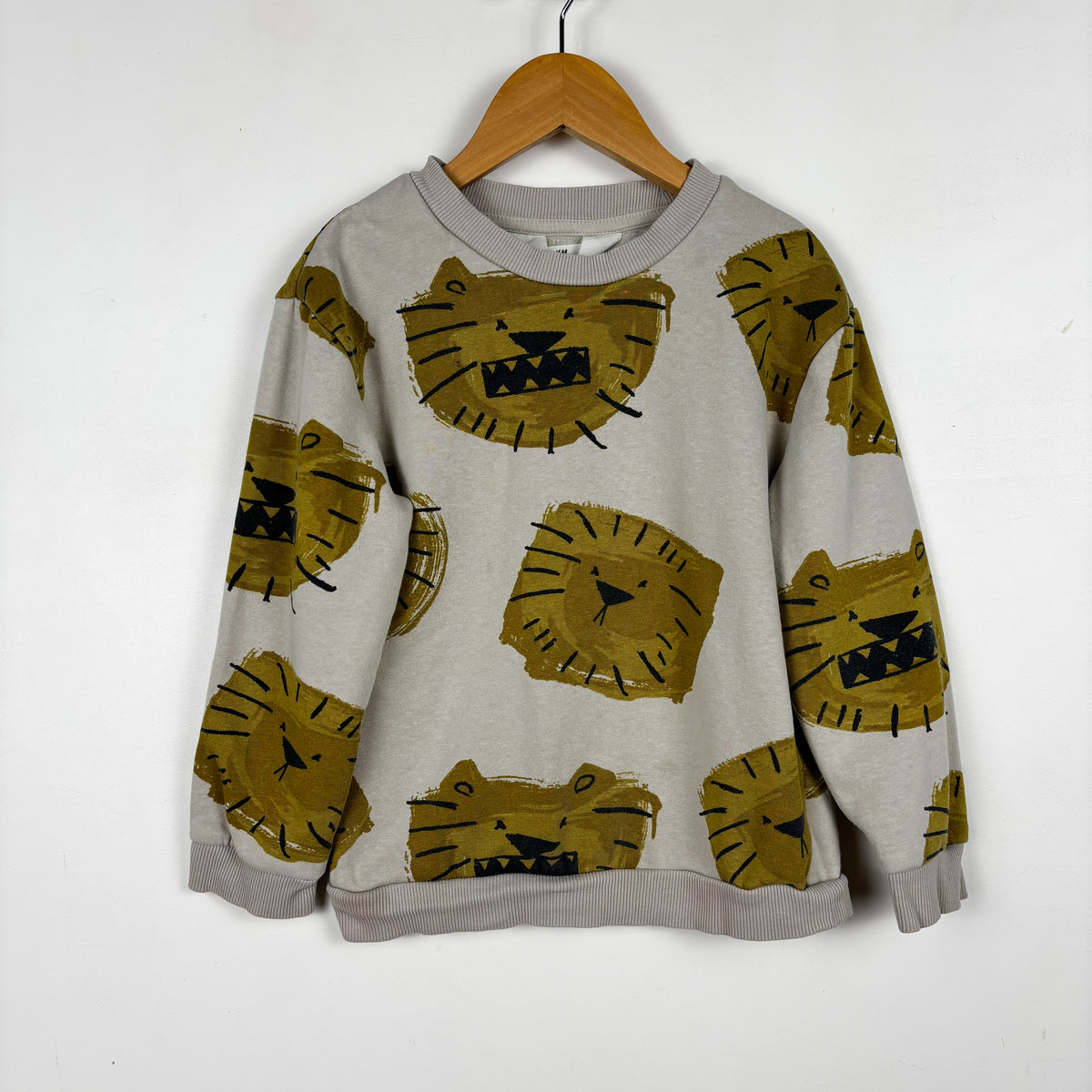 Lion Print Sweatshirt (4-6Y)