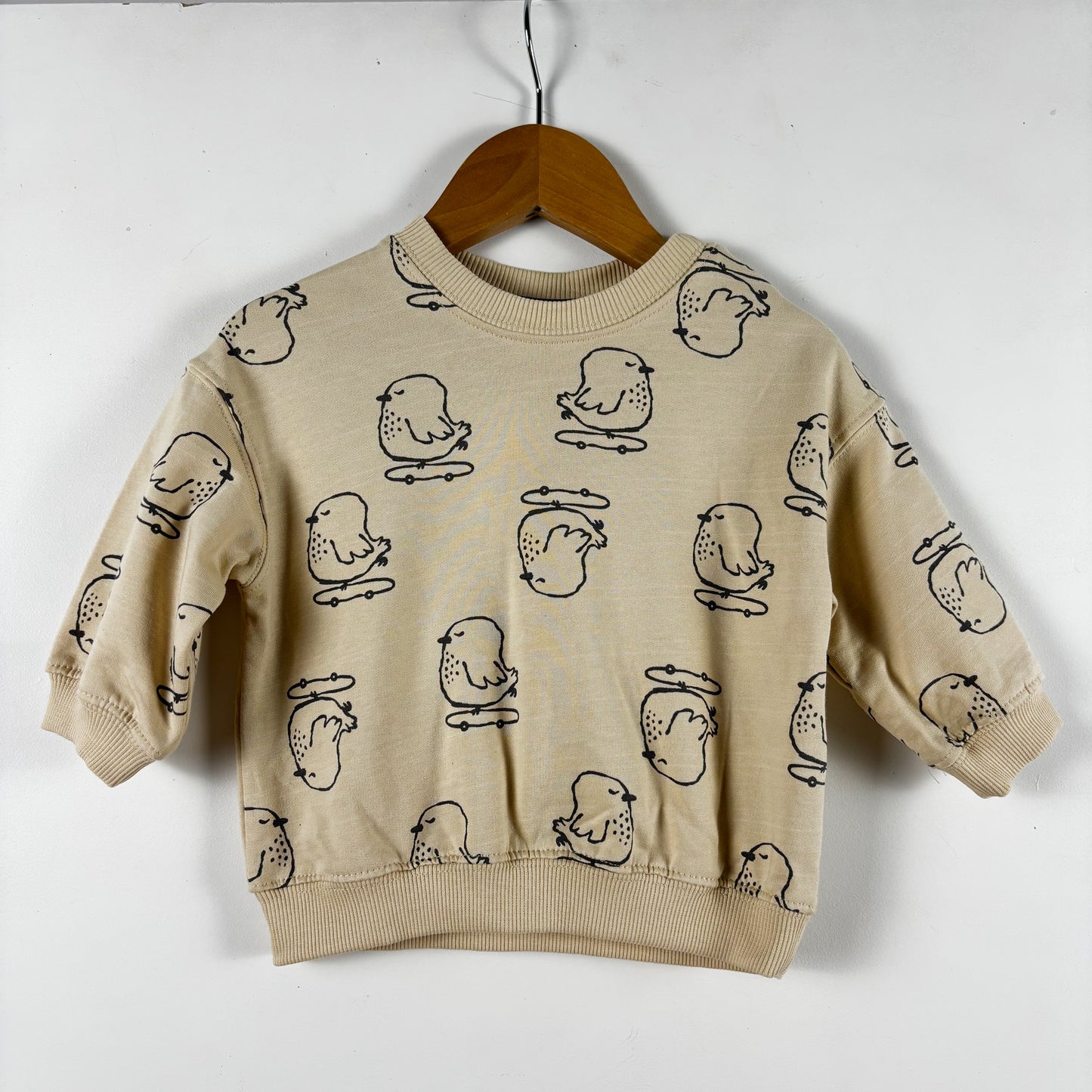 Skateboarding Bird Sweatshirt (4-6M)