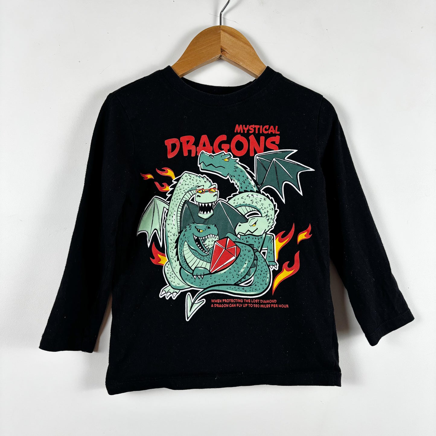 Black Dragon Long Sleeve Shirt (3T)