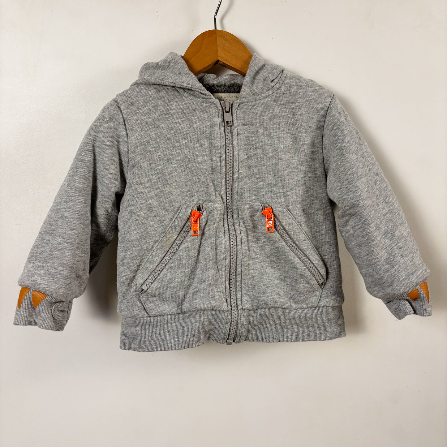 Faux Fur Lined Lion Hoodie (24M)