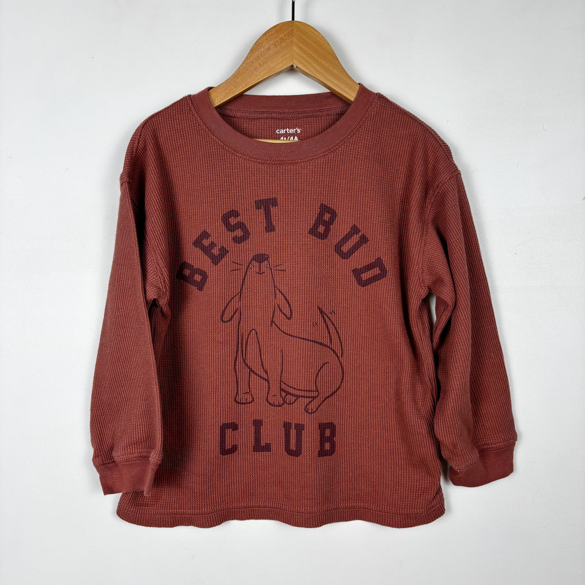 Dog Graphic Waffle Knit Shirt (4T)