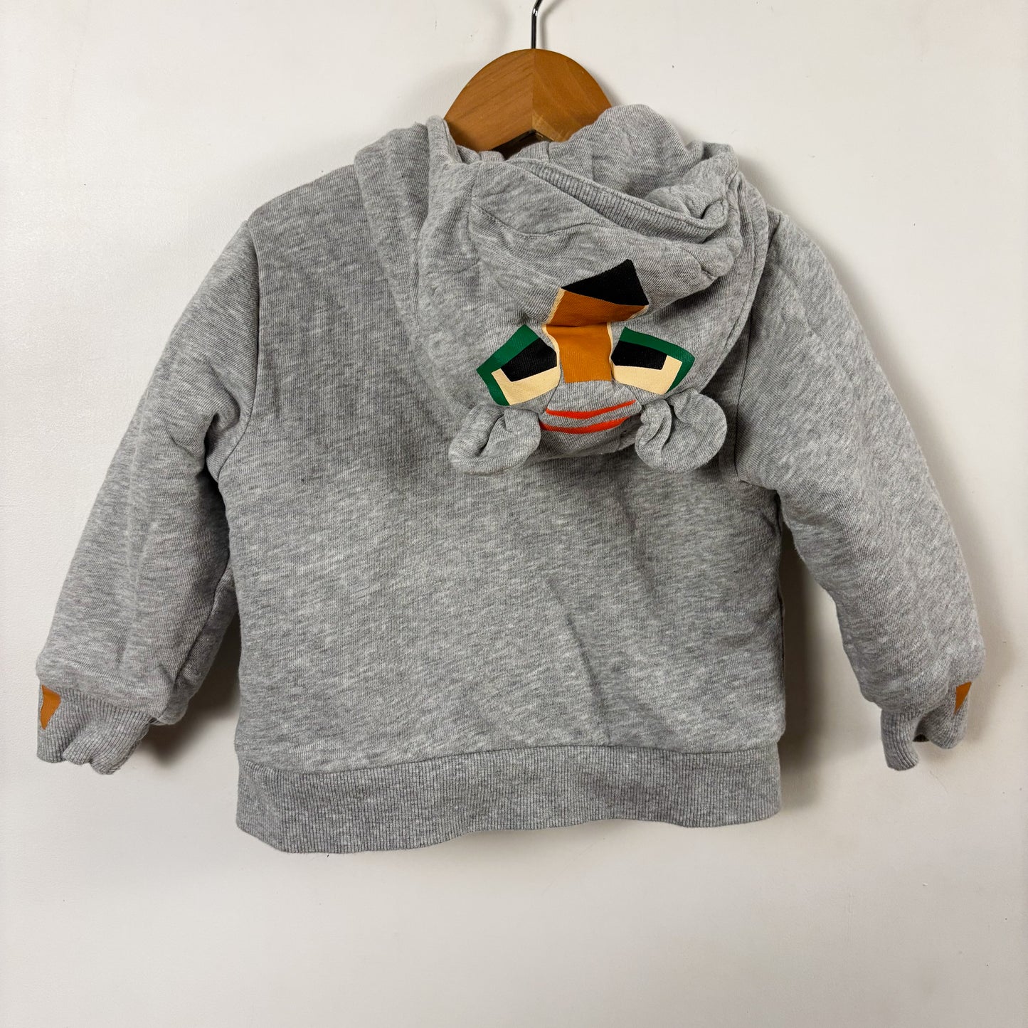 Faux Fur Lined Lion Hoodie (24M)