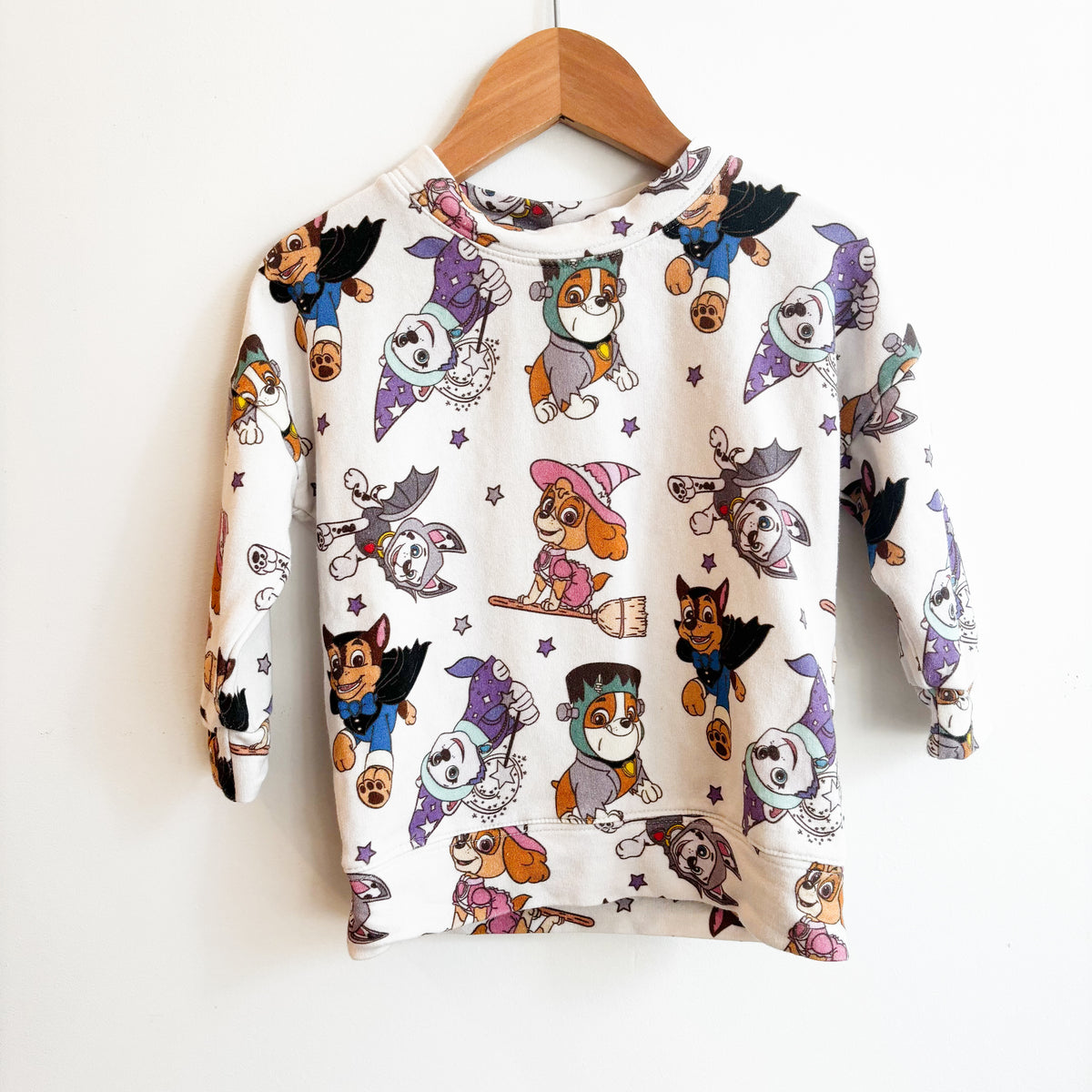 Dog Character Shirt (2Y)