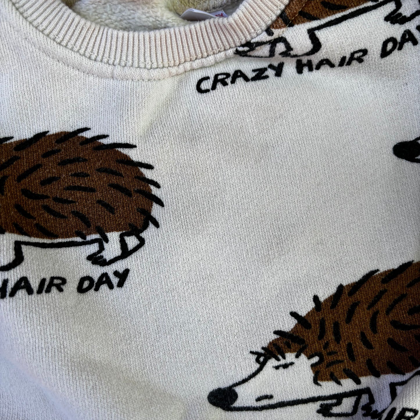 Hedgehog Sweatshirt (6-9M)