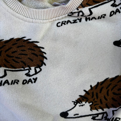 Hedgehog Sweatshirt (6-9M)