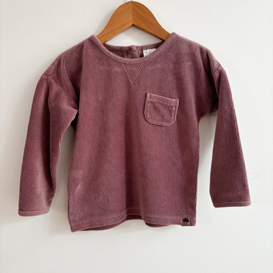Purple Velour Top (24M)