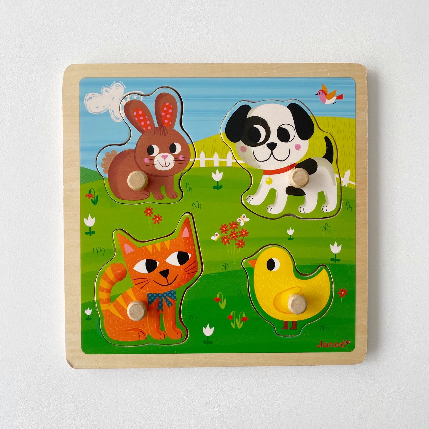 Fuzzy Pets Peg Puzzle