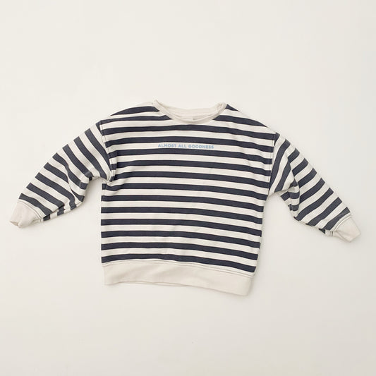 Striped Crewneck Sweatshirt (3-4Y)