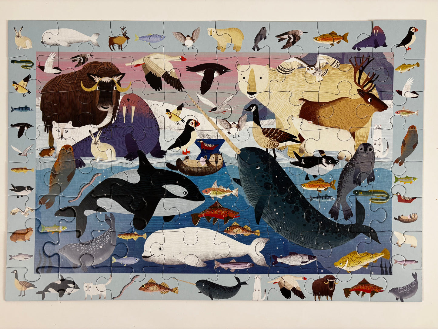 Arctic Life Search & Find Puzzle (64 PCS)