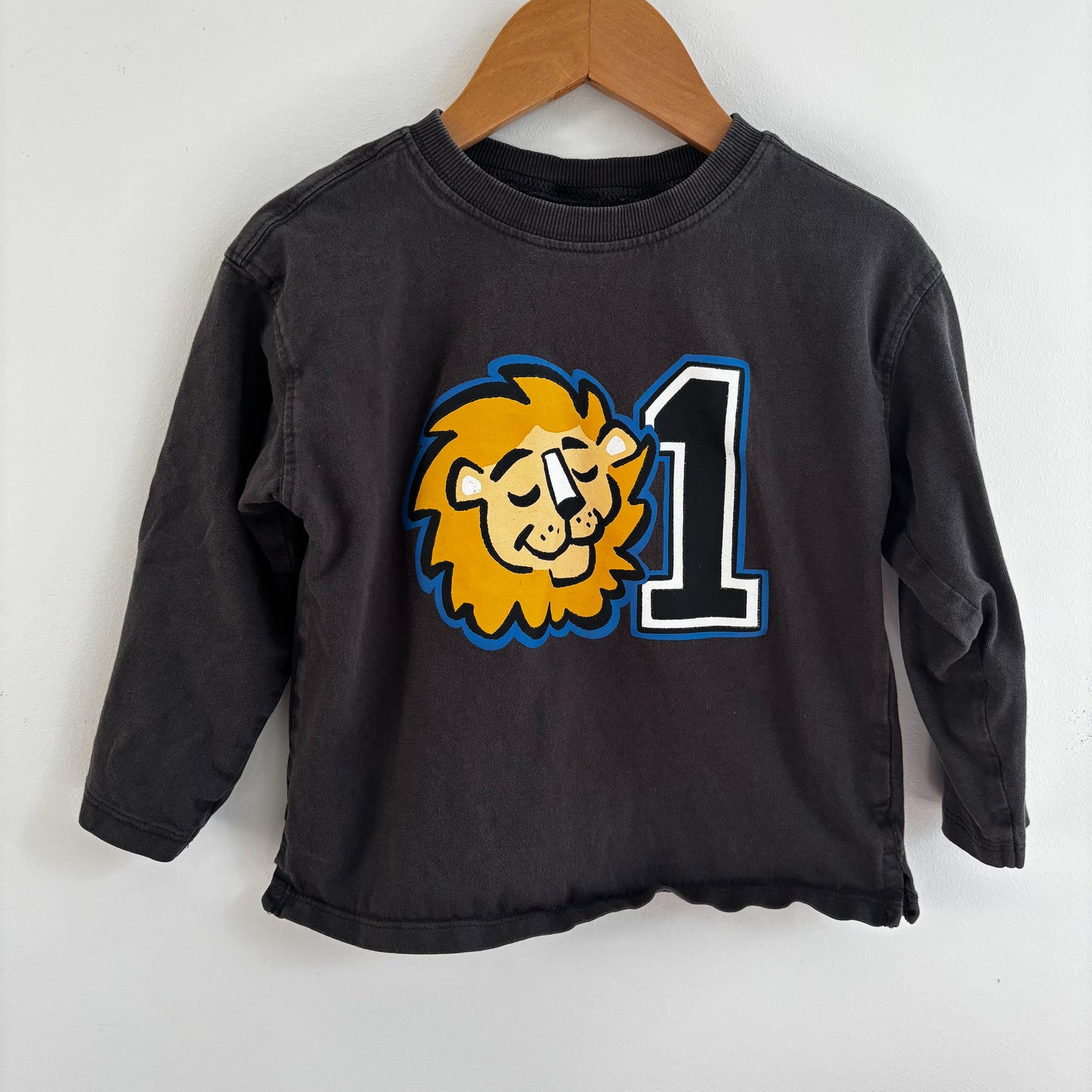 Lion Graphic Long Sleeve (2-3Y)